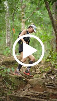 BIB:  <button type="button" onclick="openModal(27586509)" class="btn btn-primary btn-sm float-right" data-toggle="modal" data-target=".modal-high-quality">
                <i class="fa fa-download"></i> Download
                </button>